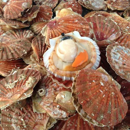 Mas Des Gourmands * La Mothe-Saint-Héray