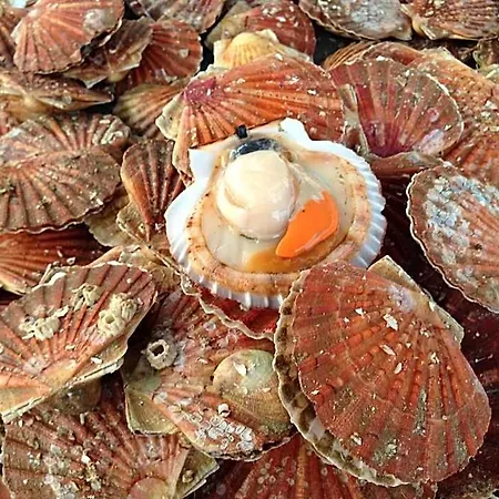 Mas Des Gourmands * La Mothe-Saint-Héray
